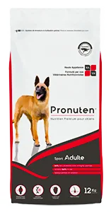 croquettes chien sportif