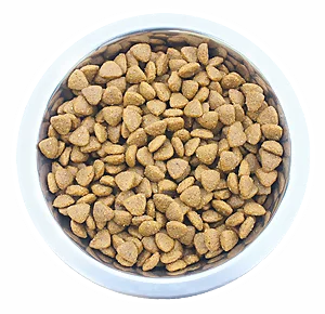 croquettes chiens de qualité