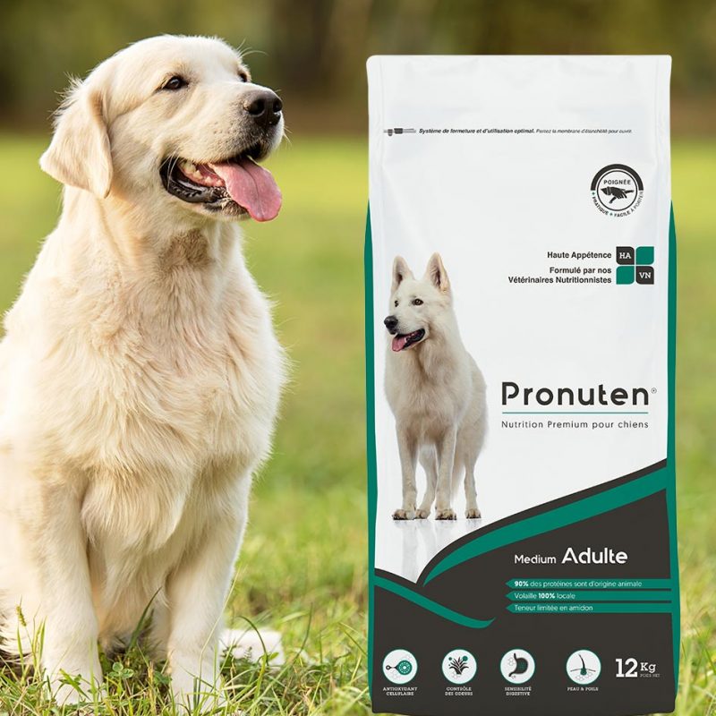 croquettes dents saines pour chien
