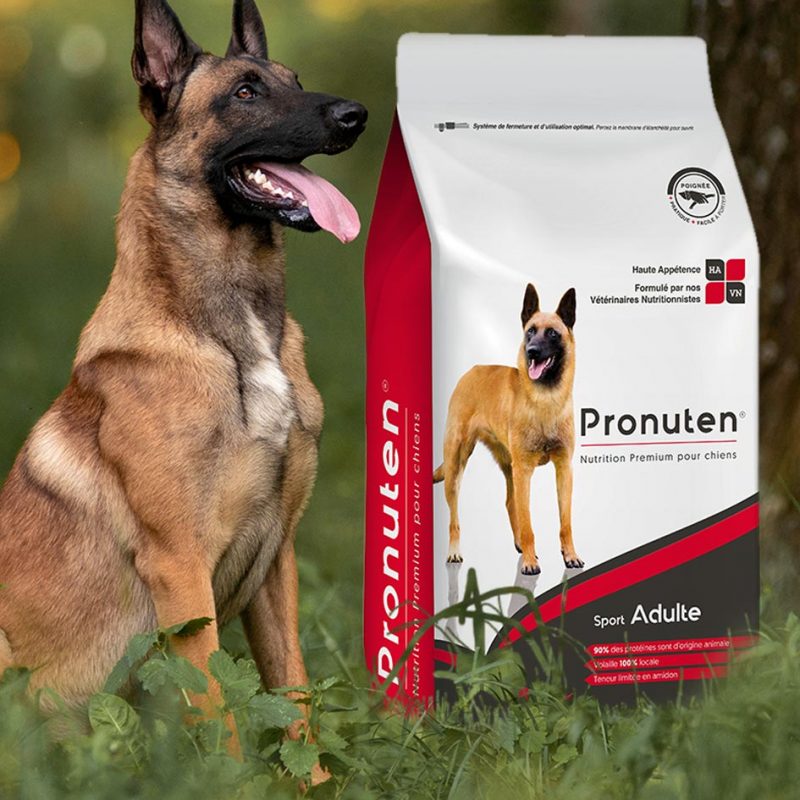 croquette pour chien de chasse