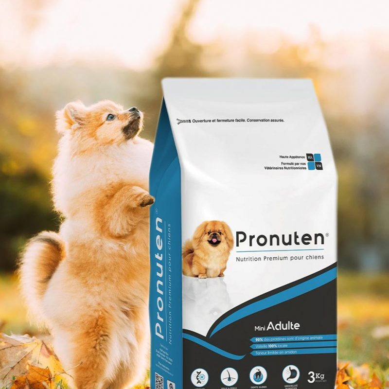 croquette premium petit chien